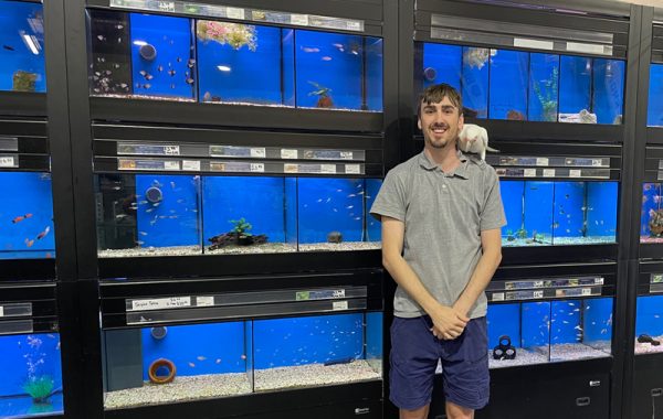 Fish aquarium pet supplies - Pets R Us Raymond Terrace