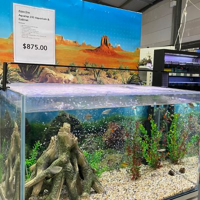 Fish aquarium pet supplies - Pets R Us Raymond Terrace