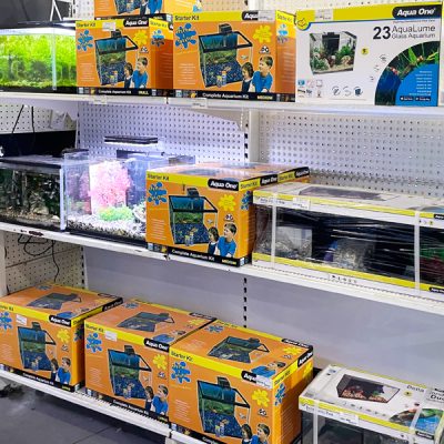 Fish aquarium pet supplies - Pets R Us Raymond Terrace
