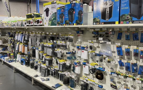 Fish aquarium pet supplies - Pets R Us Raymond Terrace