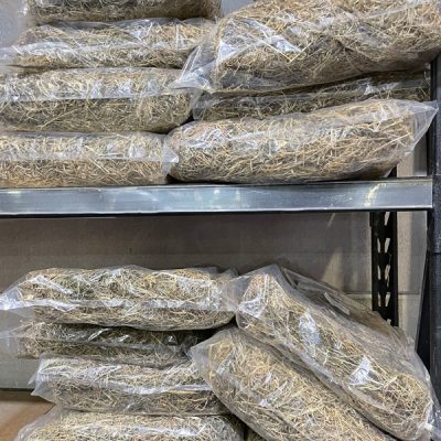 Small Animal Products - Pets R Us Raymond Terrace